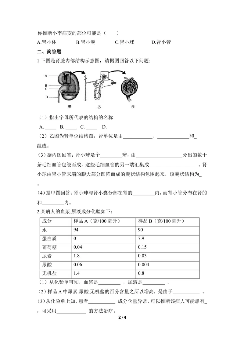 《《排泄》同步练习_初中全科目同步习题+精品试卷（7-9年级）_25秋初中生物《同步习题+精品试卷》_初中生物试卷（冀少版）_《同步练习+教案学案》_七年级下册_第三章健肺强肾精力充沛》第2页预览