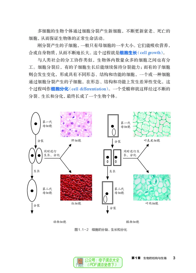 《科学七下浙教版（2025春）_光塔笔记初中课本_2025春新增教材合集_初中科学7年级下册（2025春）》第10页预览