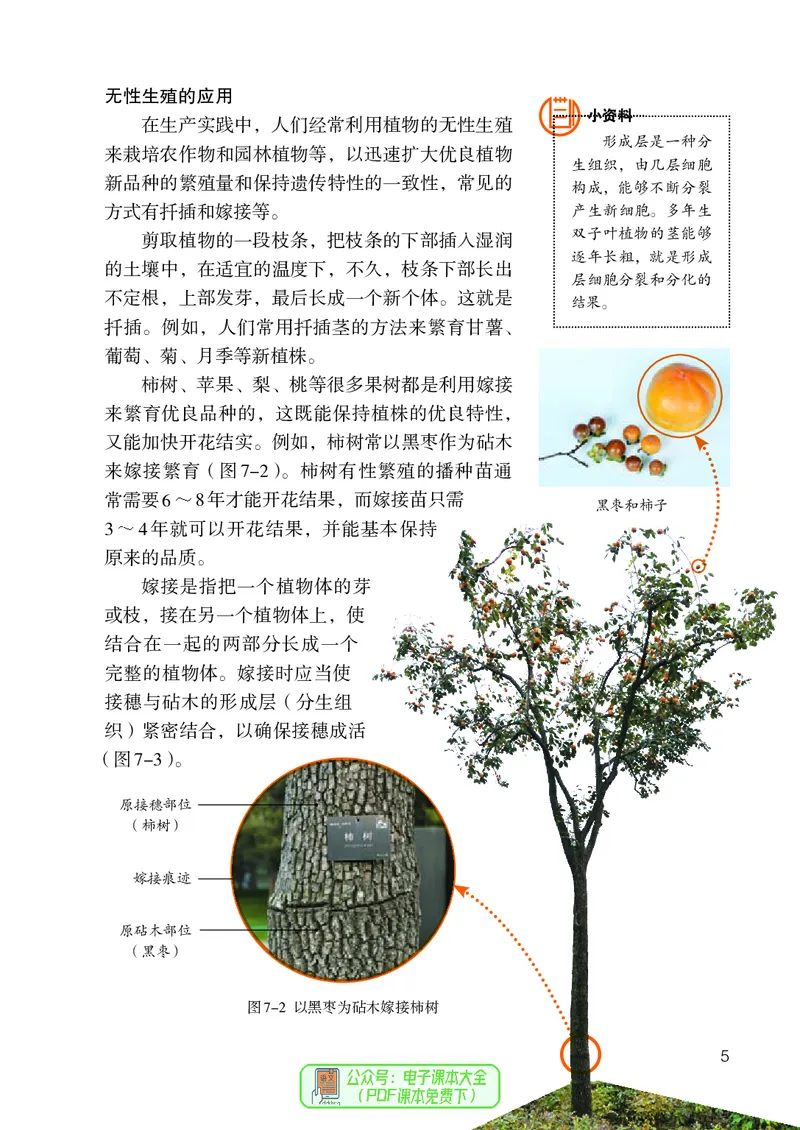 《生物学8年级下册_光塔笔记初中课本_初中生物学_人教版_初中生物8年级下册》第10页预览