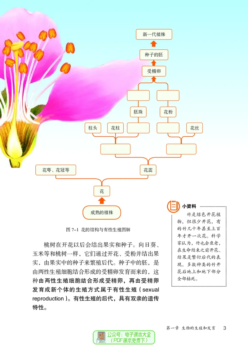 《生物学8年级下册_光塔笔记初中课本_初中生物学_人教版_初中生物8年级下册》第8页预览