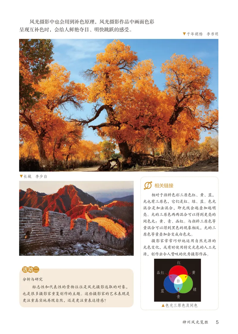 《（鲁教版）美术9年级上册_光塔笔记初中课本_初中美术_鲁教版五四制》第10页预览
