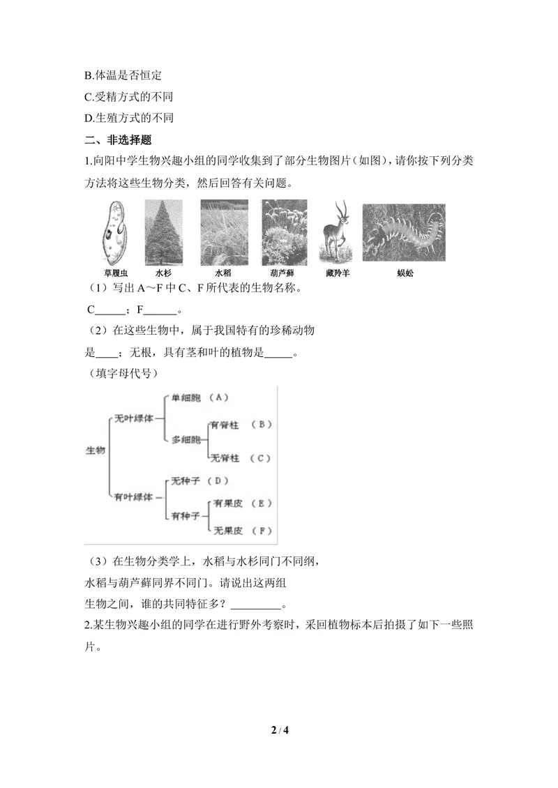 《《尝试对生物进行分类》同步练习_初中全科目同步习题+精品试卷（7-9年级）_25秋初中生物《同步习题+精品试卷》_初中生物试卷（冀少版）_《同步练习+教案学案》_七年级上册》第2页预览