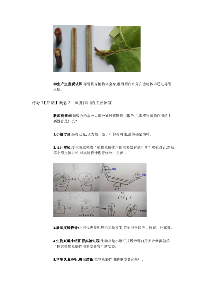《人教初中生物七上7绿色植物与生物圈的水循环[谭丽丽]市一等奖优质课_初中7-9年级全科优质公开课_初中生物优质公开课_人教版生物初中7年级上册教案PPT课件配套优质课视频》第3页预览
