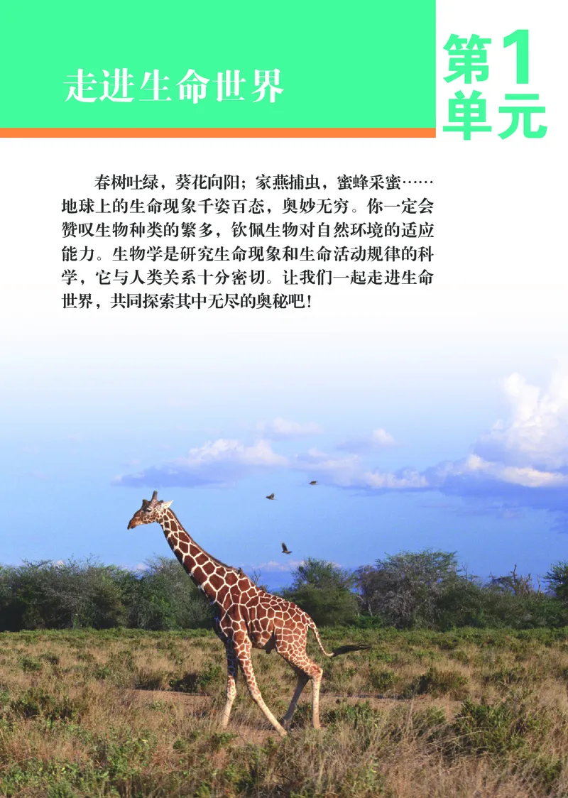 《初中生物学七年级上册_光塔笔记初中课本_初中生物学_苏科版》第6页预览