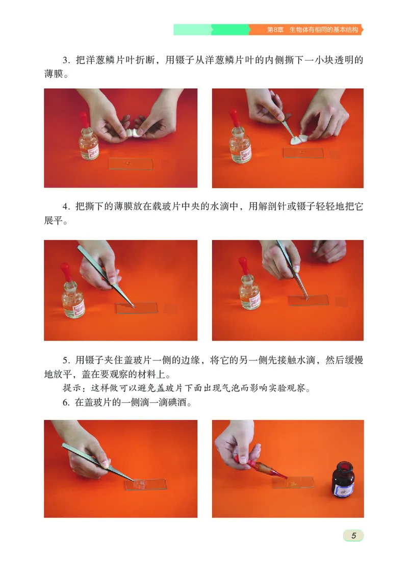 《初中生物学七年级下册_光塔笔记初中课本_初中生物学_苏科版》第10页预览