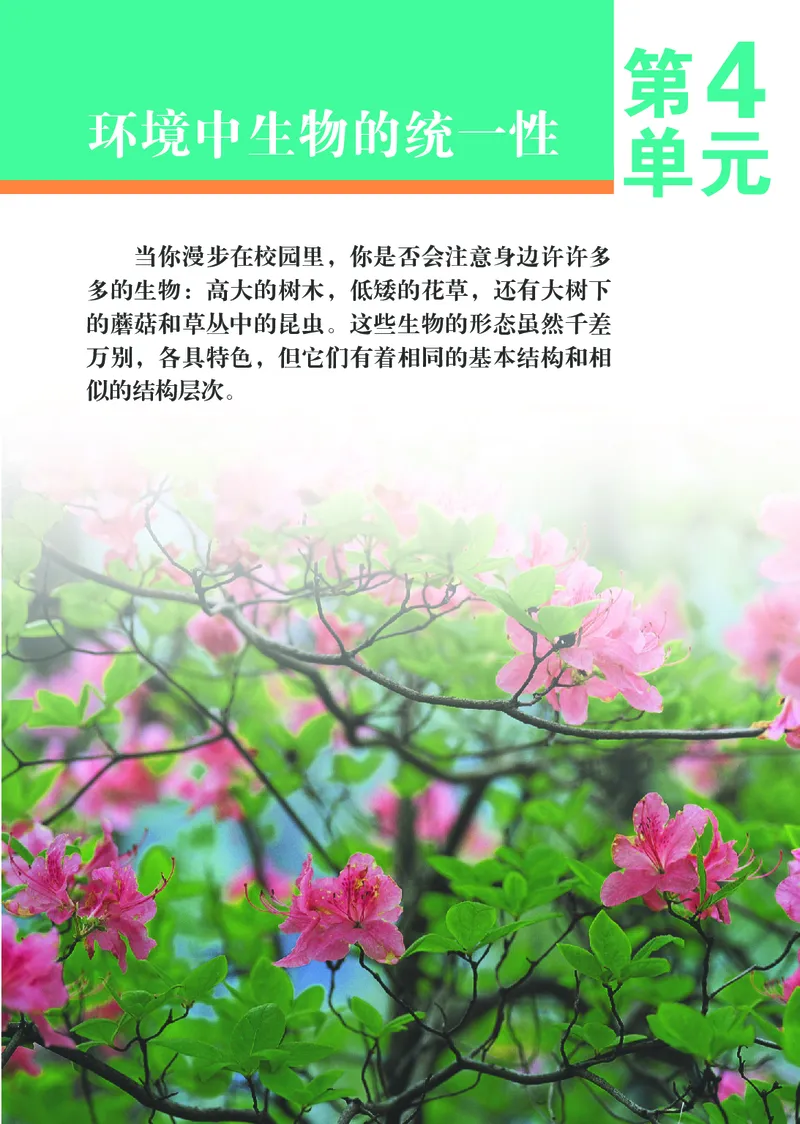 《初中生物学七年级下册_光塔笔记初中课本_初中生物学_苏科版》第6页预览