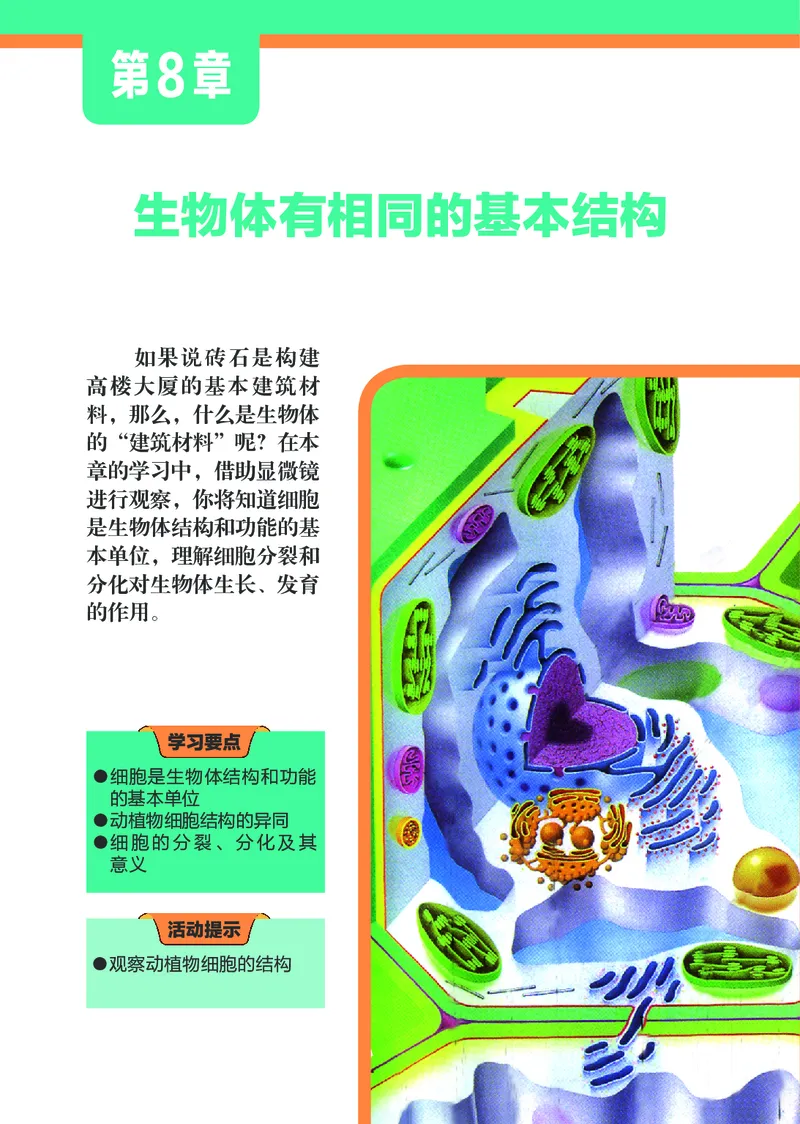 《初中生物学七年级下册_光塔笔记初中课本_初中生物学_苏科版》第7页预览