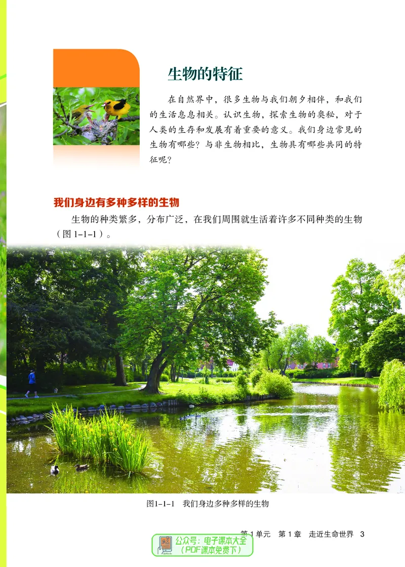 《生物七上北京版（2024秋）_光塔笔记初中课本_初中生物学_北京版》第10页预览