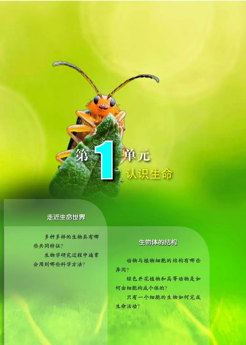 《生物七上北京版（2024秋）_光塔笔记初中课本_初中生物学_北京版》第8页预览