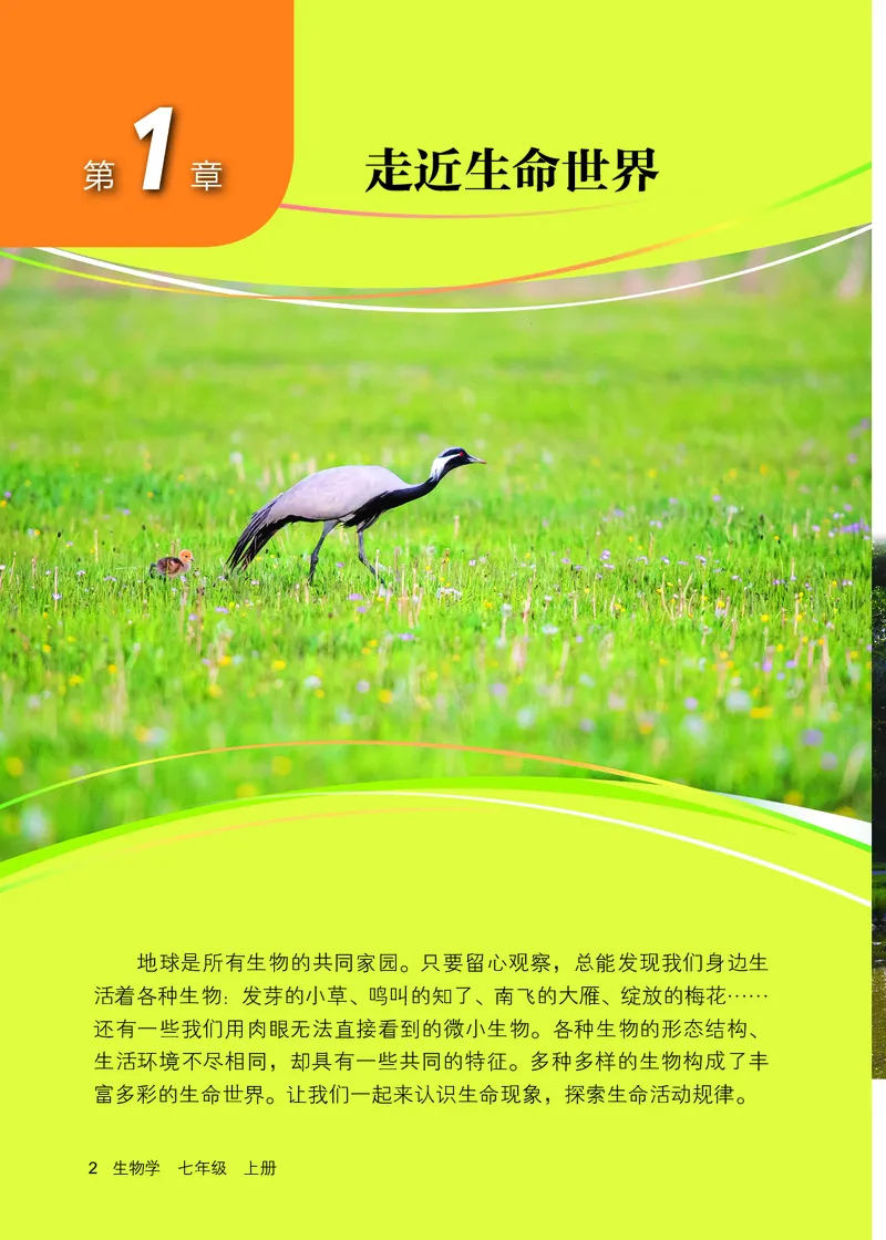 《生物七上北京版（2024秋）_光塔笔记初中课本_初中生物学_北京版》第9页预览