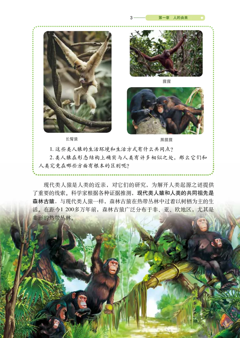 《义务教育教科书（五·四学制）生物学七年级上册_光塔笔记初中课本_初中生物学_鲁科版五四制》第8页预览