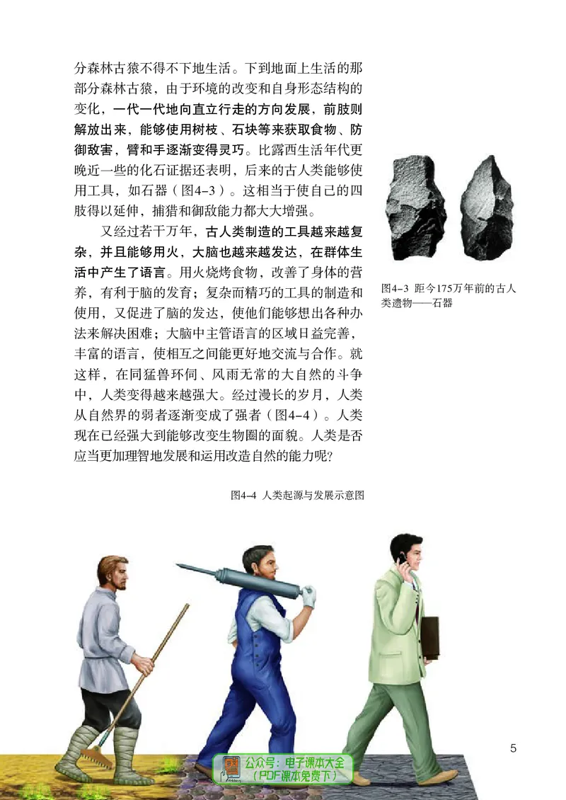《生物七下人教版（2024春）_光塔笔记初中课本_初中生物学_人教版_初中生物7年级下册》第10页预览