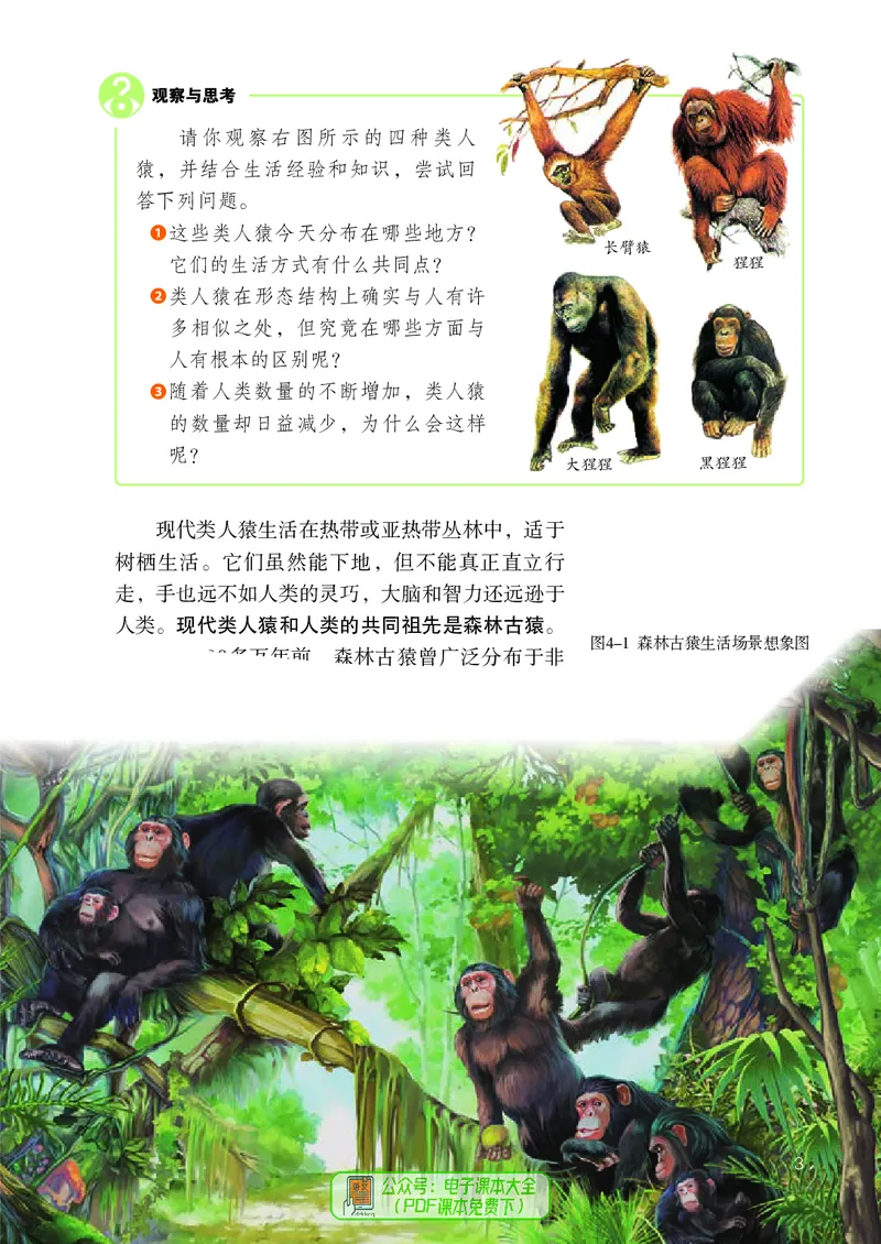 《生物七下人教版（2024春）_光塔笔记初中课本_初中生物学_人教版_初中生物7年级下册》第8页预览