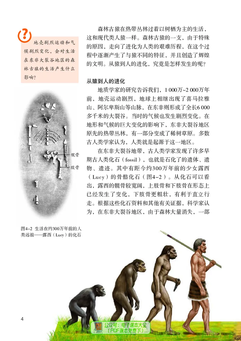 《生物七下人教版（2024春）_光塔笔记初中课本_初中生物学_人教版_初中生物7年级下册》第9页预览