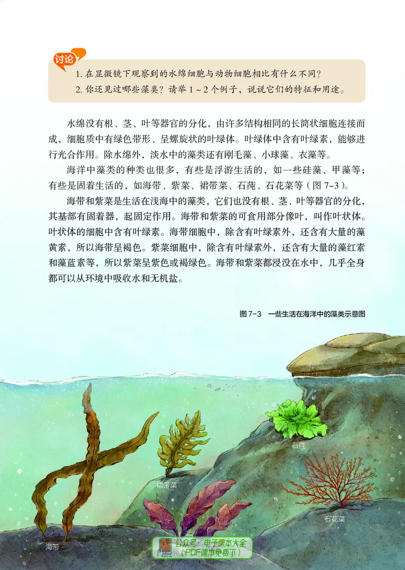 《生物七下苏科版（2025春）_光塔笔记初中课本_2025春新增教材合集_初中生物7年级下册（2025春）》第10页预览