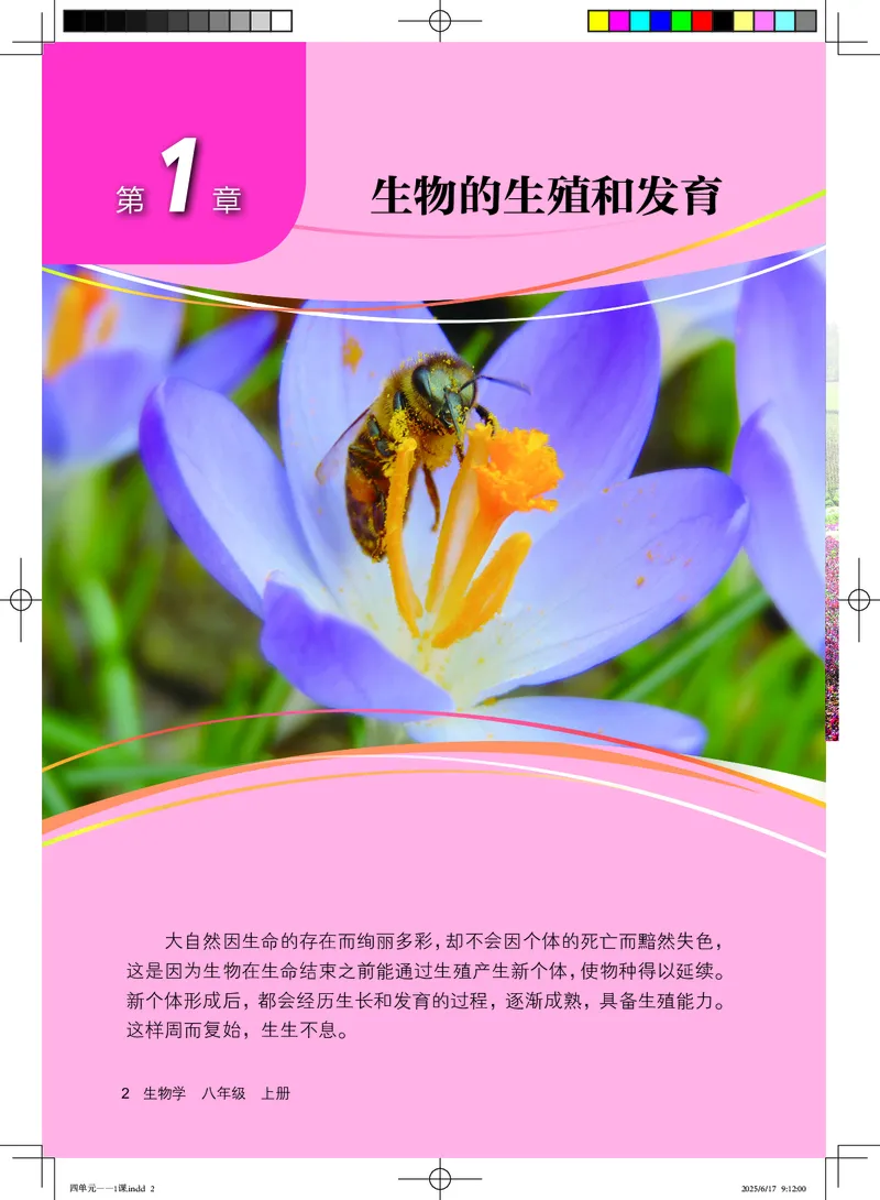 《生物八上北京版（2025秋）_光塔笔记初中课本_初中生物学_北京版》第9页预览