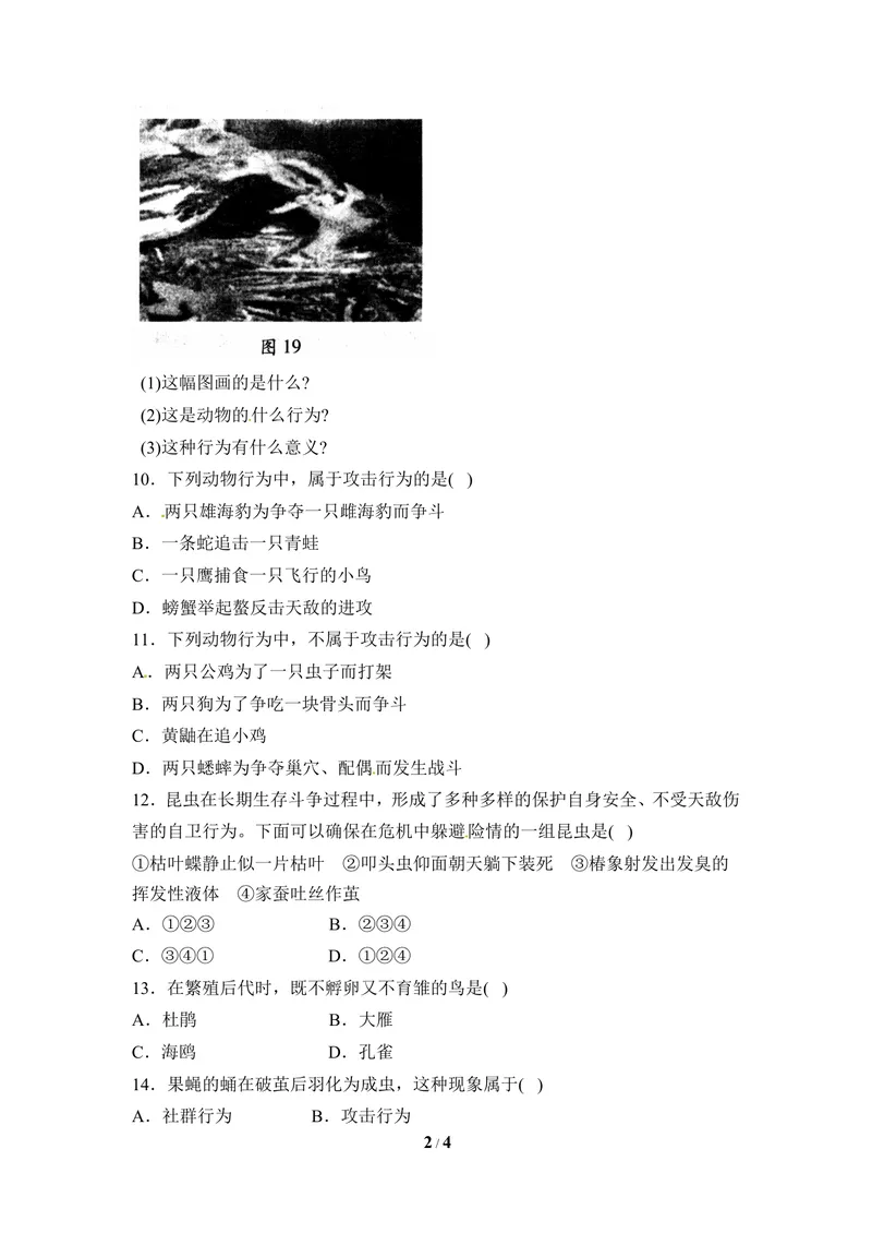 《《动物行为的类型》同步练习_初中全科目同步习题+精品试卷（7-9年级）_25秋初中生物《同步习题+精品试卷》_初中生物试卷（冀少版）_《同步练习+教案学案》_八年级上册》第2页预览