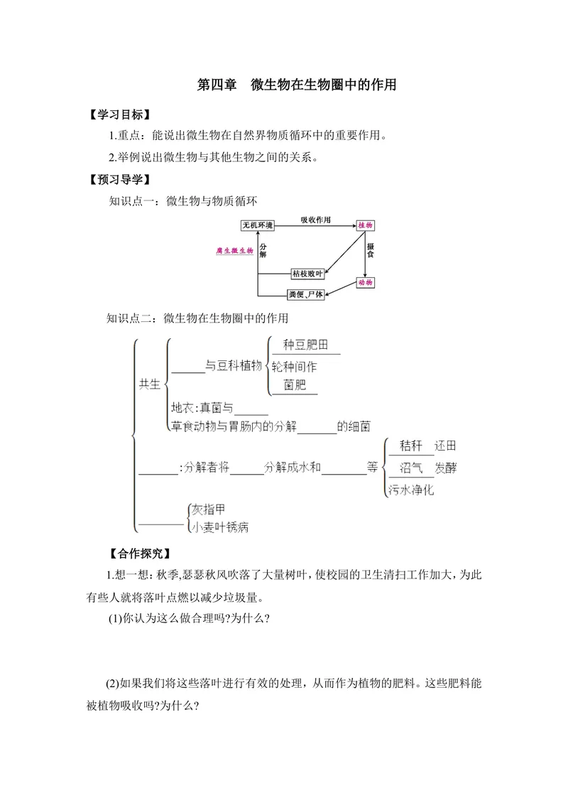 《《微生物在生物圈中的作用》导学案_初中全科目同步习题+精品试卷（7-9年级）_25秋初中生物《同步习题+精品试卷》_初中生物试卷（冀少版）_《同步练习+教案学案》_八年级上册》第1页预览