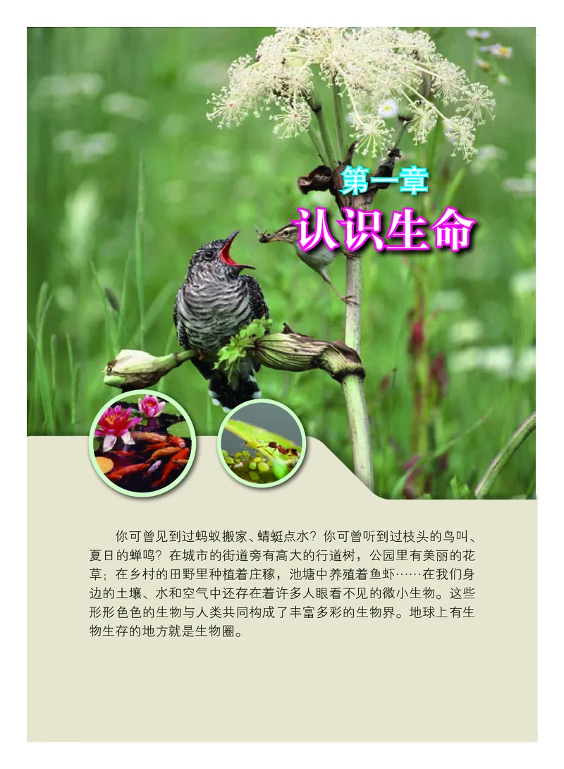 《生物学七年级上册_光塔笔记初中课本_初中生物学_北京版》第7页预览