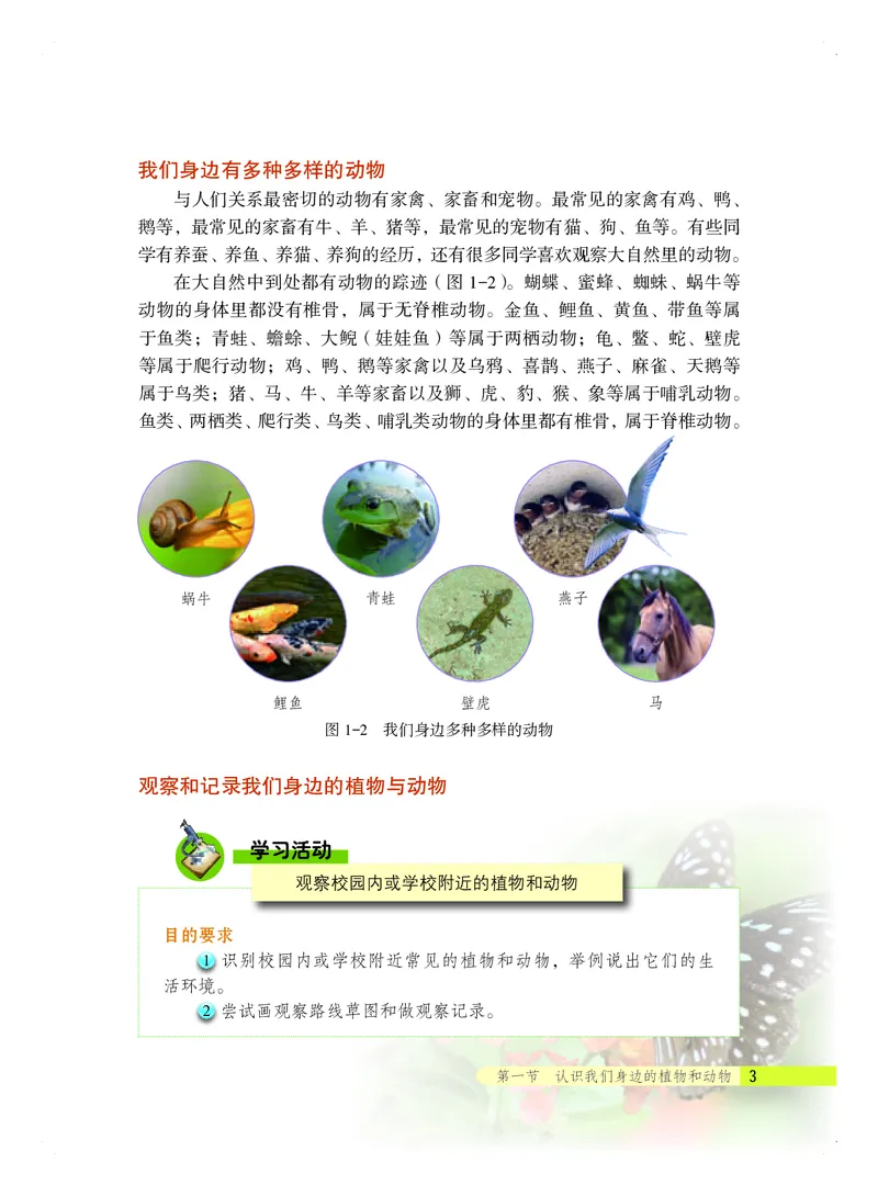 《生物学七年级上册_光塔笔记初中课本_初中生物学_北京版》第9页预览