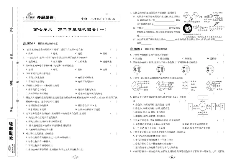 《《培优夺冠金卷》生物人教版8年级下册_初中全科目同步习题+精品试卷（7-9年级）_25秋初中生物《同步习题+精品试卷》_初中生物试卷（人教版）_《培优夺冠金卷》》第7页预览