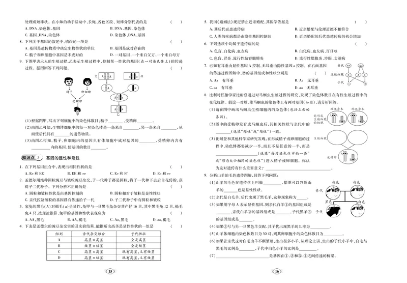 《《培优夺冠金卷》生物人教版8年级下册_初中全科目同步习题+精品试卷（7-9年级）_25秋初中生物《同步习题+精品试卷》_初中生物试卷（人教版）_《培优夺冠金卷》》第8页预览