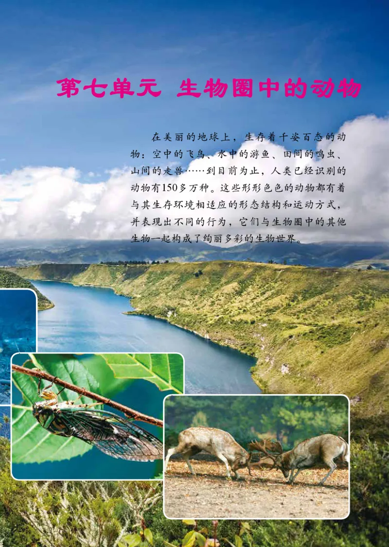 《义务教育教科书（五·四学制）生物学八年级上册_光塔笔记初中课本_初中生物学_鲁科版五四制》第6页预览