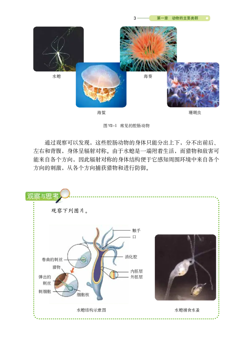 《义务教育教科书（五·四学制）生物学八年级上册_光塔笔记初中课本_初中生物学_鲁科版五四制》第8页预览
