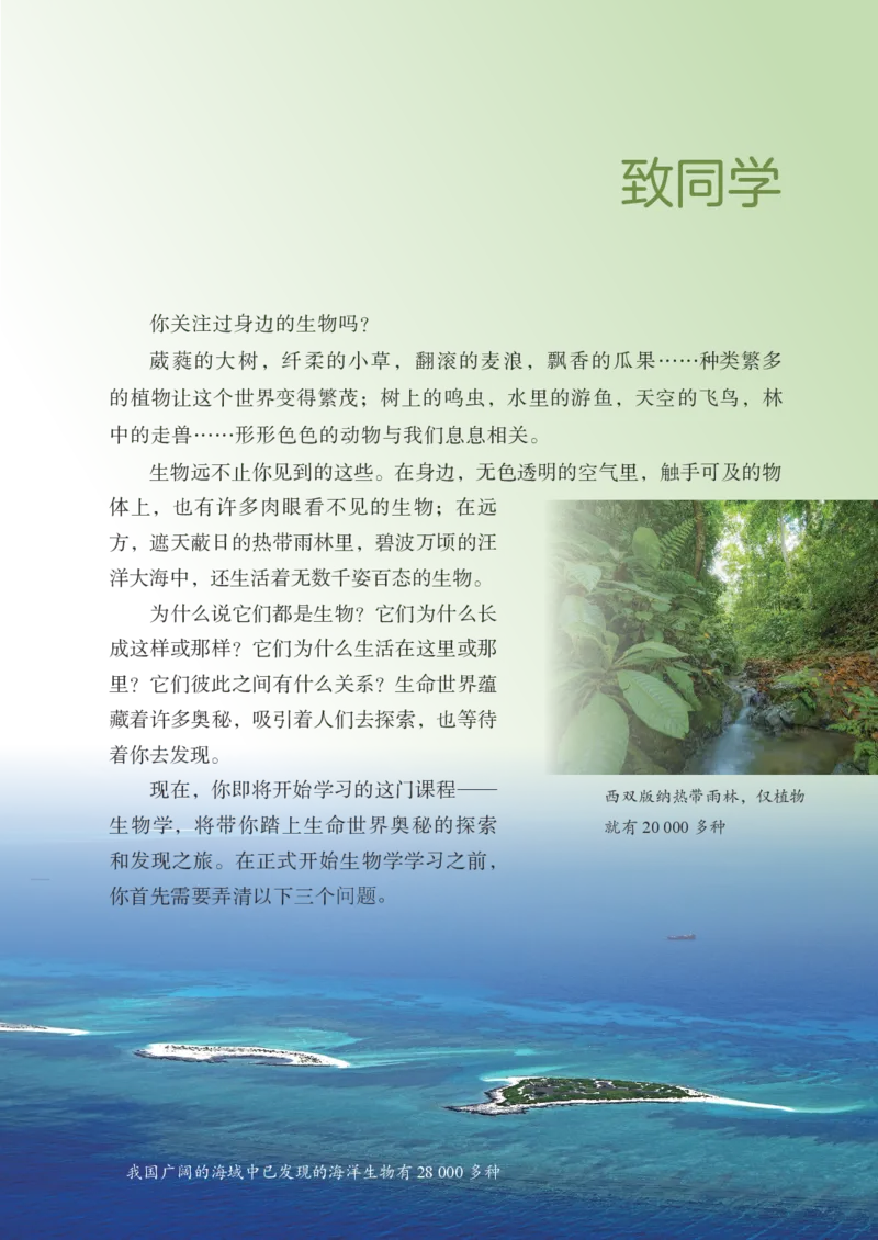 《生物六上鲁科版五四制（2024秋）_光塔笔记初中课本_初中生物学_鲁科版五四制》第4页预览