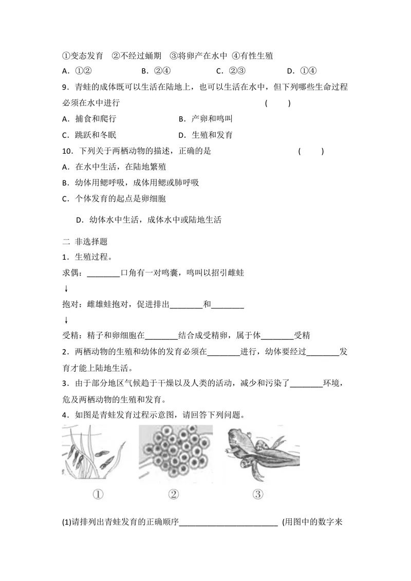 《7.1.3两栖动物的生殖和发育同步练习_初中全科目同步习题+精品试卷（7-9年级）_25秋初中生物《同步习题+精品试卷》_初中生物试卷（北师大）_《单元试卷》_单元试卷8B_同步练习》第2页预览