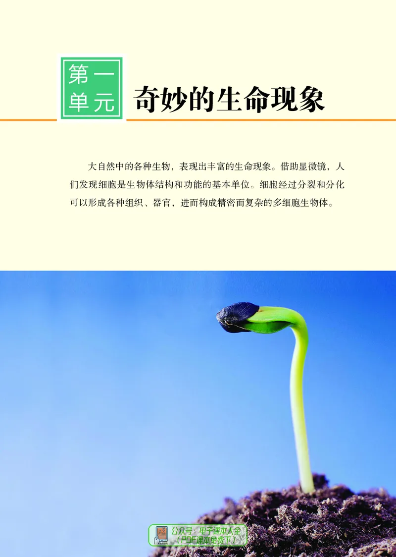 《生物七上济南版（2024秋）_光塔笔记初中课本_初中生物学_济南版》第10页预览