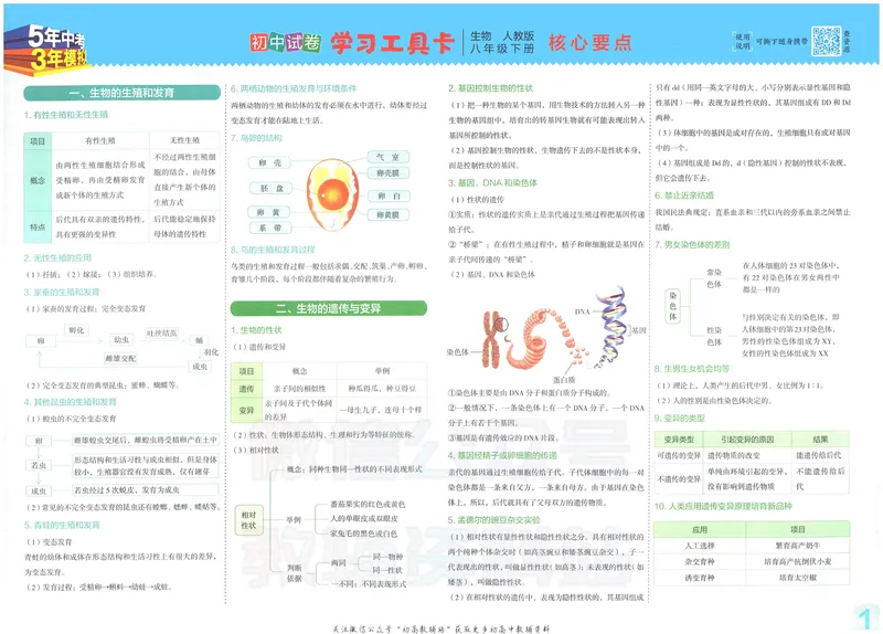 《53初中试卷8年级下册生物_初中全科目同步习题+精品试卷（7-9年级）_25秋初中生物《同步习题+精品试卷》_初中生物试卷（人教版）_《53初中试卷》2025春_7-8下册》第3页预览