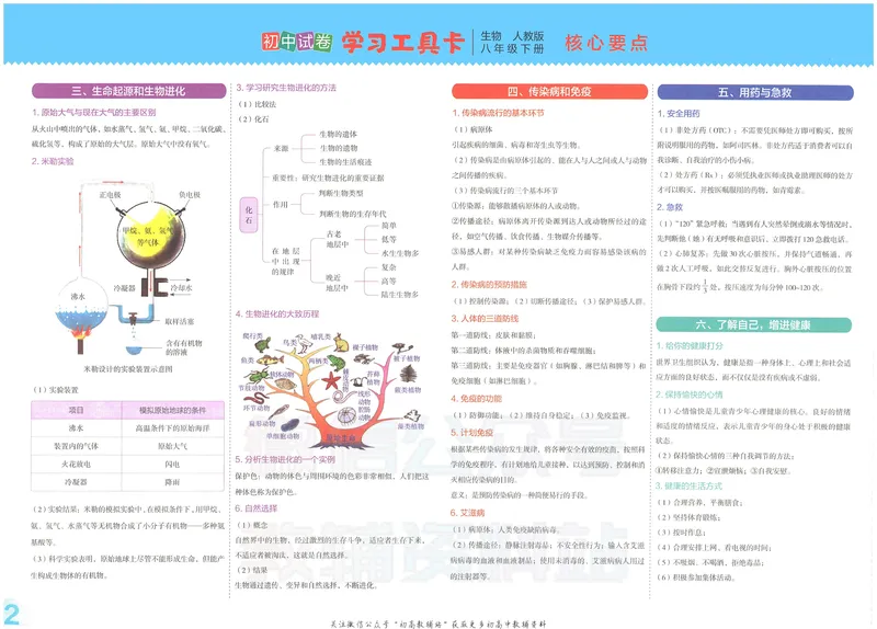 《53初中试卷8年级下册生物_初中全科目同步习题+精品试卷（7-9年级）_25秋初中生物《同步习题+精品试卷》_初中生物试卷（人教版）_《53初中试卷》2025春_7-8下册》第4页预览