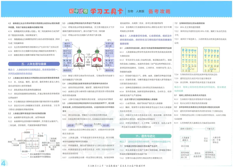 《53初中试卷8年级下册生物_初中全科目同步习题+精品试卷（7-9年级）_25秋初中生物《同步习题+精品试卷》_初中生物试卷（人教版）_《53初中试卷》2025春_7-8下册》第6页预览