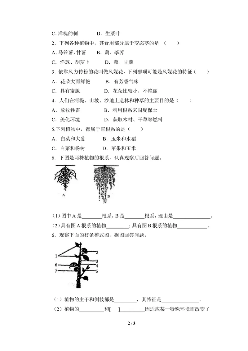 《《在实验室里观察植物》导学案1_初中全科目同步习题+精品试卷（7-9年级）_25秋初中生物《同步习题+精品试卷》_初中生物试卷（冀少版）_《同步练习+教案学案》_七年级上册》第2页预览