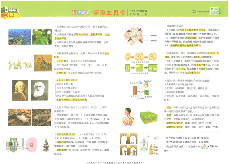 《53初中试卷7年级上册生物北师版_初中全科目同步习题+精品试卷（7-9年级）_25秋初中生物《同步习题+精品试卷》_初中生物试卷（北师大）_《53初中试卷》》第3页预览