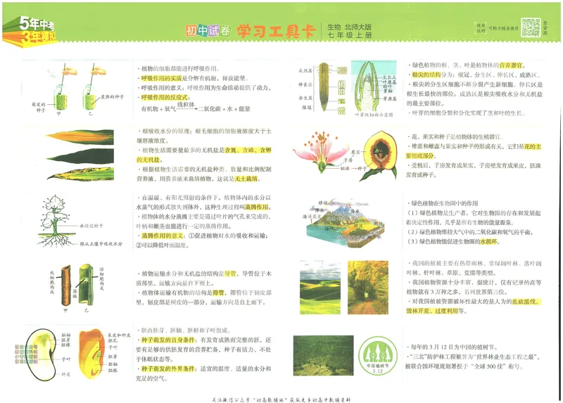 《53初中试卷7年级上册生物北师版_初中全科目同步习题+精品试卷（7-9年级）_25秋初中生物《同步习题+精品试卷》_初中生物试卷（北师大）_《53初中试卷》》第4页预览