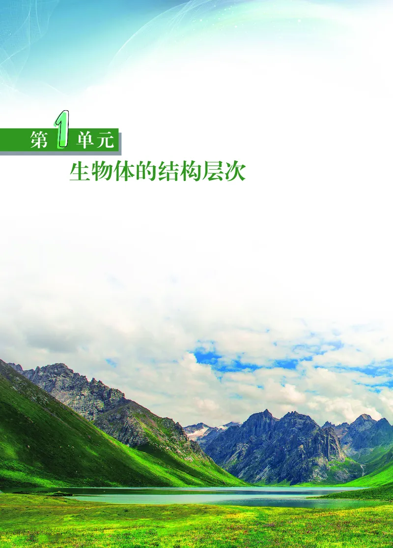 《生物七上苏教版（2024秋）_光塔笔记初中课本_初中生物学_苏教版》第6页预览