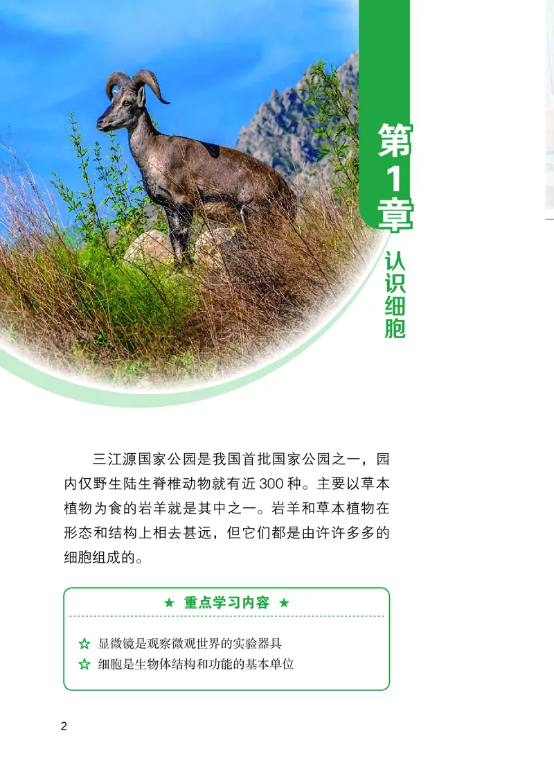 《生物七上苏教版（2024秋）_光塔笔记初中课本_初中生物学_苏教版》第8页预览