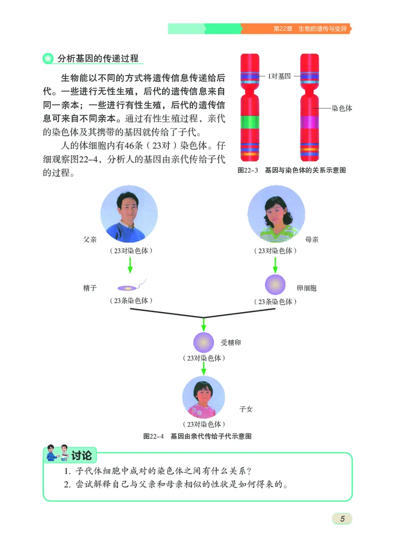 《初中生物学八年级下册_光塔笔记初中课本_初中生物学_苏科版》第10页预览