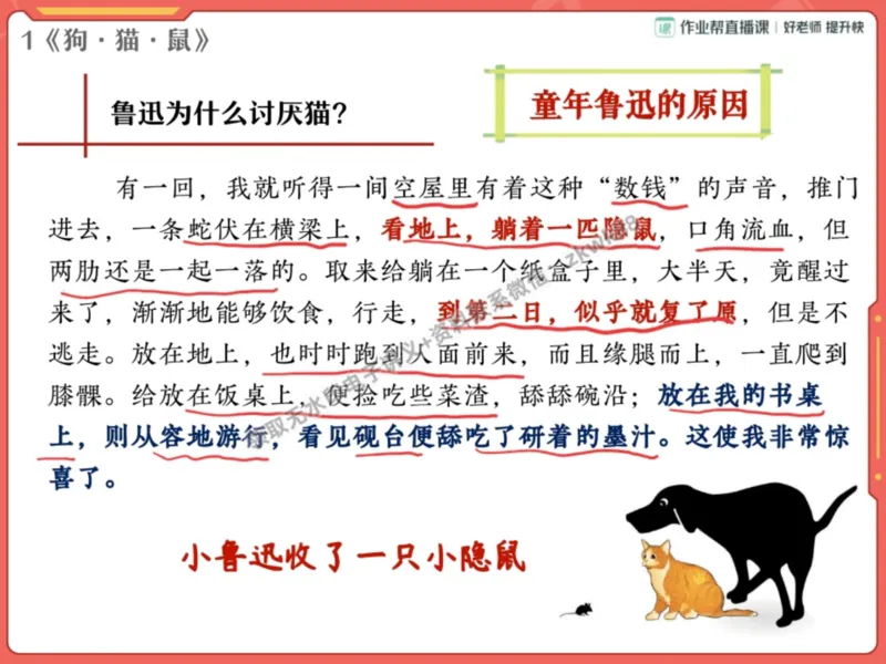 《02.课堂笔记主讲课中笔记_2025初一网课_25初一语文_25初一董俣语文（作业帮）_秋季上-暑假班A+_课堂笔记》第7页预览