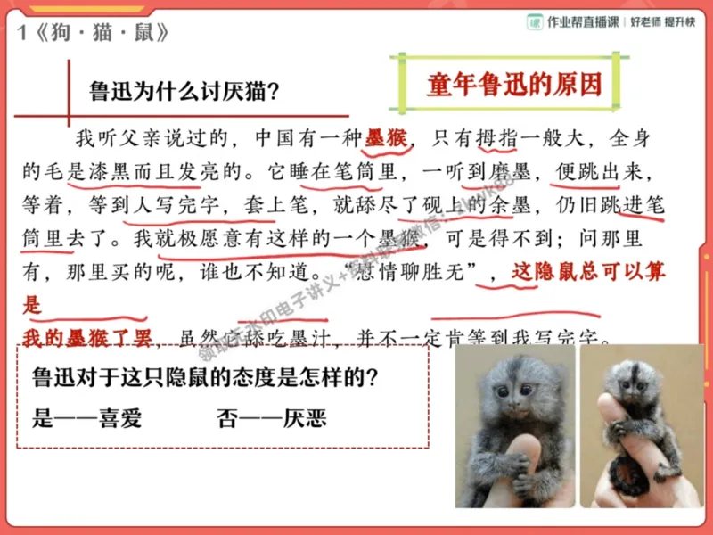 《02.课堂笔记主讲课中笔记_2025初一网课_25初一语文_25初一董俣语文（作业帮）_秋季上-暑假班A+_课堂笔记》第8页预览