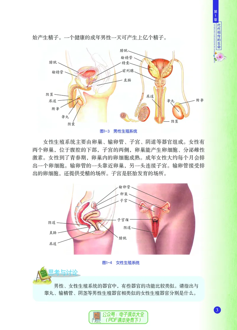 《浙江教育出版社科学7年级下册_光塔笔记初中课本_初中科学_浙教版》第10页预览