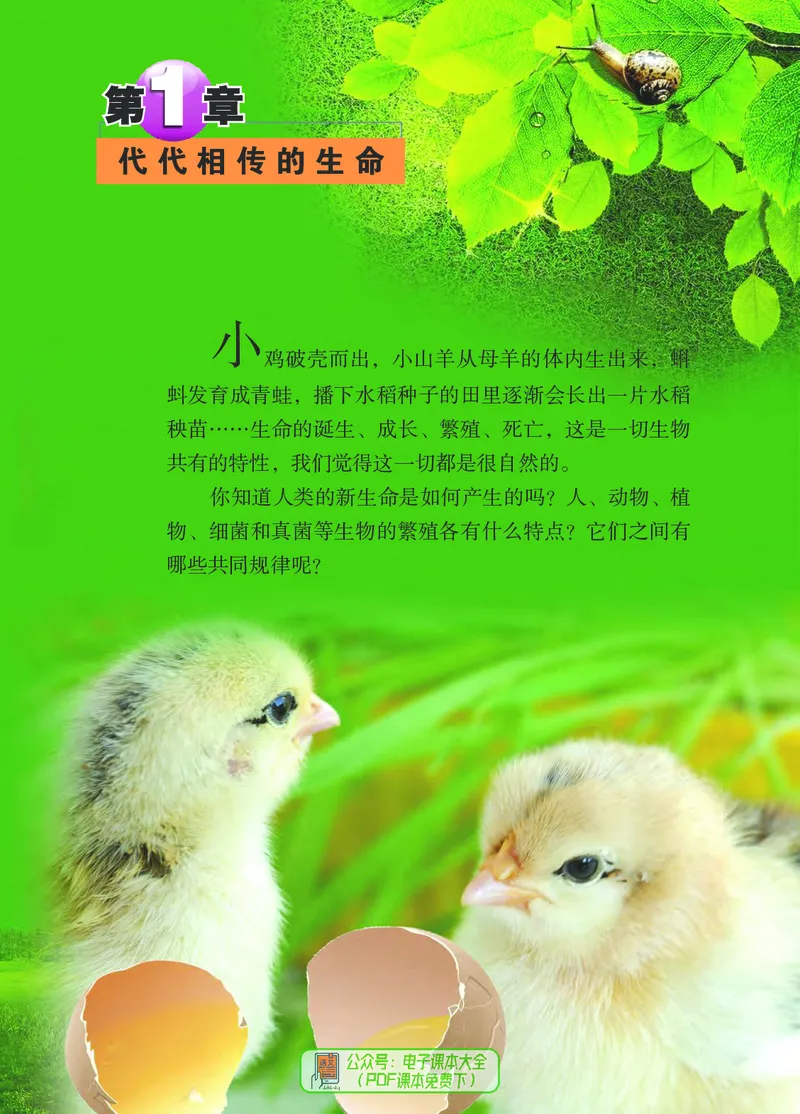 《浙江教育出版社科学7年级下册_光塔笔记初中课本_初中科学_浙教版》第8页预览
