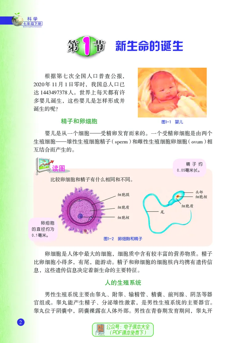 《浙江教育出版社科学7年级下册_光塔笔记初中课本_初中科学_浙教版》第9页预览