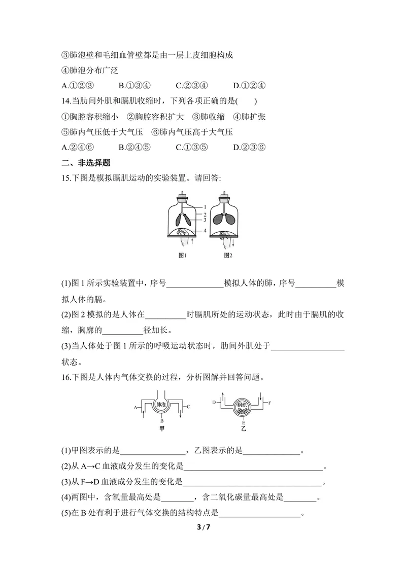 《《呼吸》同步练习_初中全科目同步习题+精品试卷（7-9年级）_25秋初中生物《同步习题+精品试卷》_初中生物试卷（冀少版）_《同步练习+教案学案》_七年级下册_第三章健肺强肾精力充沛》第3页预览