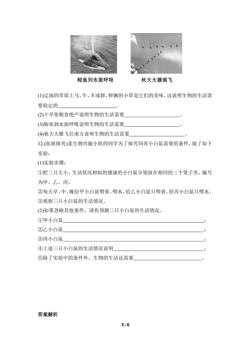 《《环境对生物的影响》同步练习_初中全科目同步习题+精品试卷（7-9年级）_25秋初中生物《同步习题+精品试卷》_初中生物试卷（冀少版）_《同步练习+教案学案》_八年级下册》第3页预览