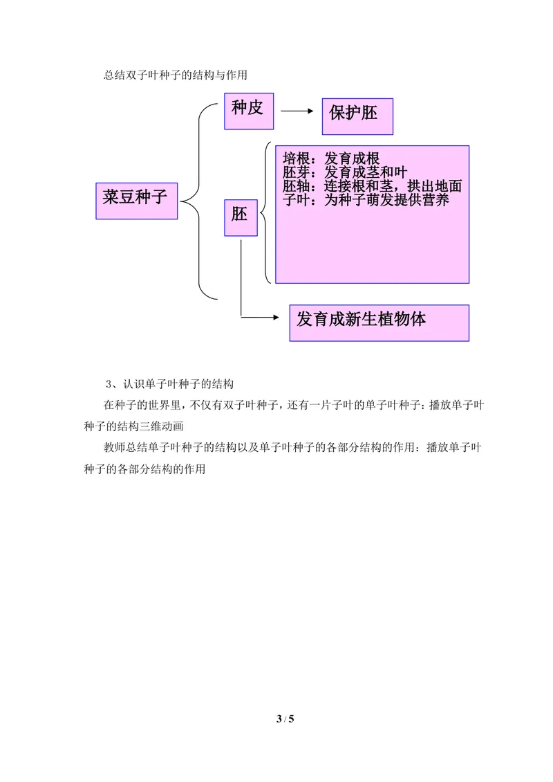 《《种子萌发的过程》参考教案_初中全科目同步习题+精品试卷（7-9年级）_25秋初中生物《同步习题+精品试卷》_初中生物试卷（冀少版）_《同步练习+教案学案》_八年级上册》第3页预览