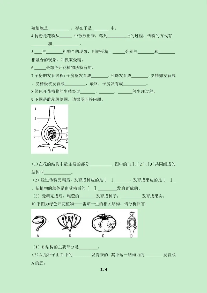 《《被子植物的生殖》第一课时同步练习_初中全科目同步习题+精品试卷（7-9年级）_25秋初中生物《同步习题+精品试卷》_初中生物试卷（冀少版）_《同步练习+教案学案》_八年级下册》第2页预览