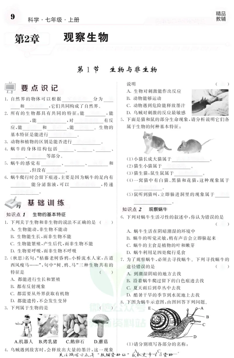 《《课堂内外》七年级上册科学浙教版A本去答案版_初中全科目同步习题+精品试卷（7-9年级）_25秋初中科学《同步习题+精品试卷》_《课堂内外》》第10页预览